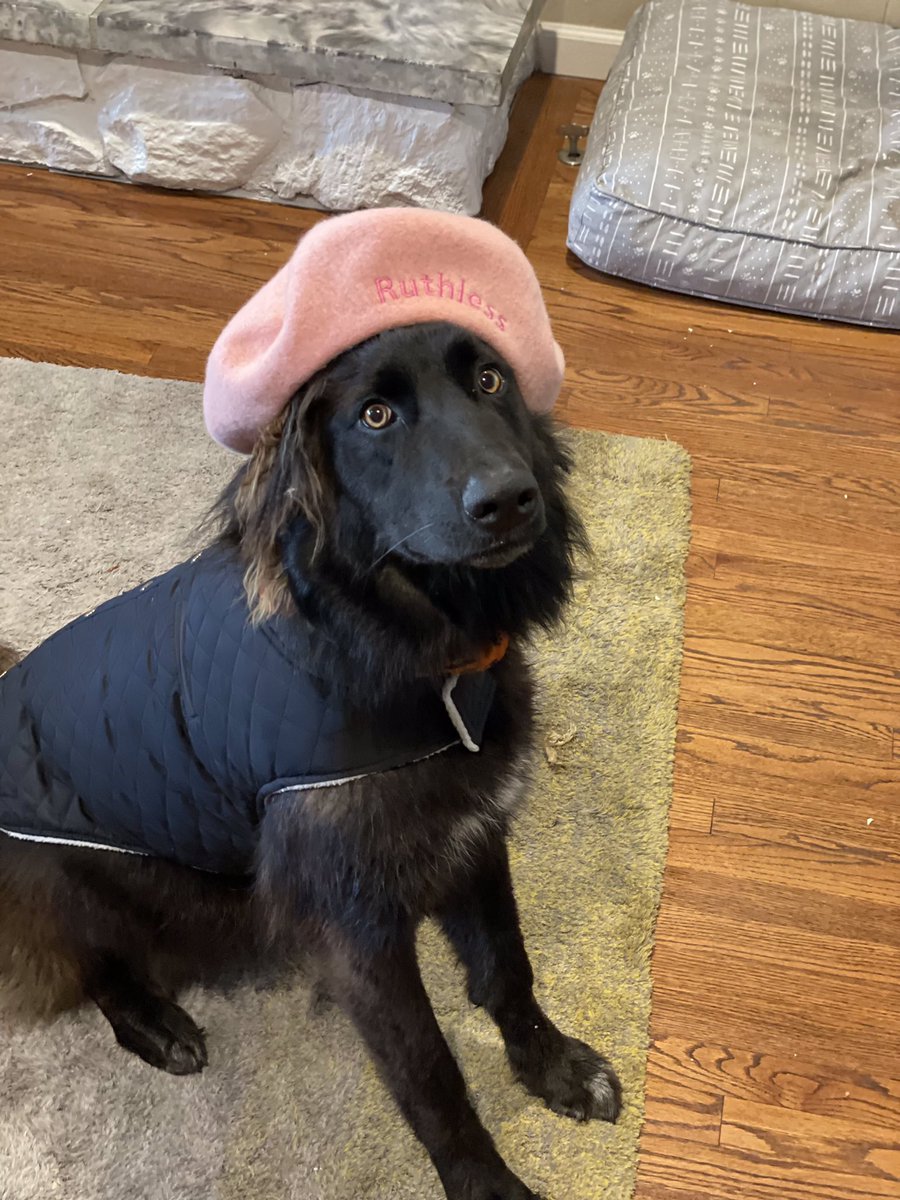 Tony Denison tweet media