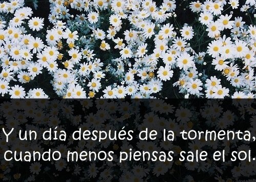 lasbolas_llenas's tweet photo. 💘 https://t.co/J2ChptYPd8