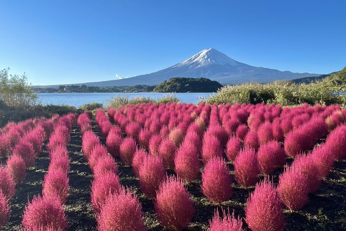 河口湖 の評価や評判 感想など みんなの反応を1週間ごとにまとめて紹介 ついラン