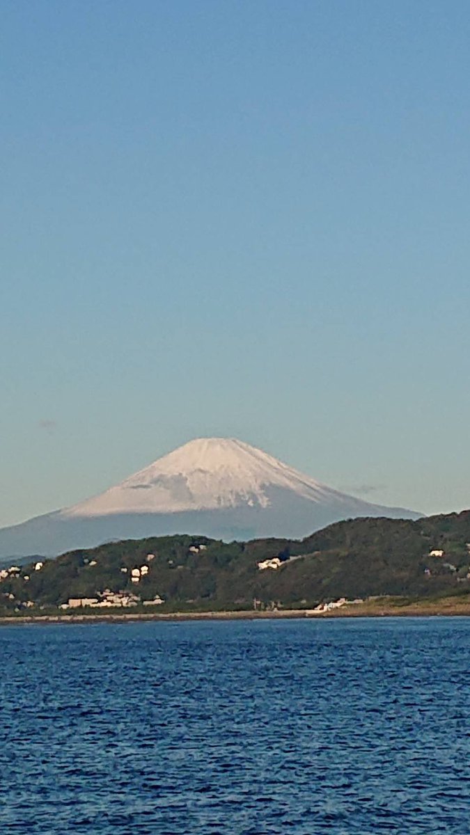 ssmaruhachimaru's tweet photo. 10/23(土)
本日天気は良く成りましたが☀️しらすの反応めっきり少ないです┐('～`;)┌使う分は獲れましたので生しらすや釜揚げ等ご用意出来ます･.｡*･.｡*

#あさつゆ広場 さん
#生しらす #釜揚げしらす
9時過ぎ並びますのでご利用ください

16時までお待ちしております！

#販売情報 #しらす https://t.co/MD9nau632d