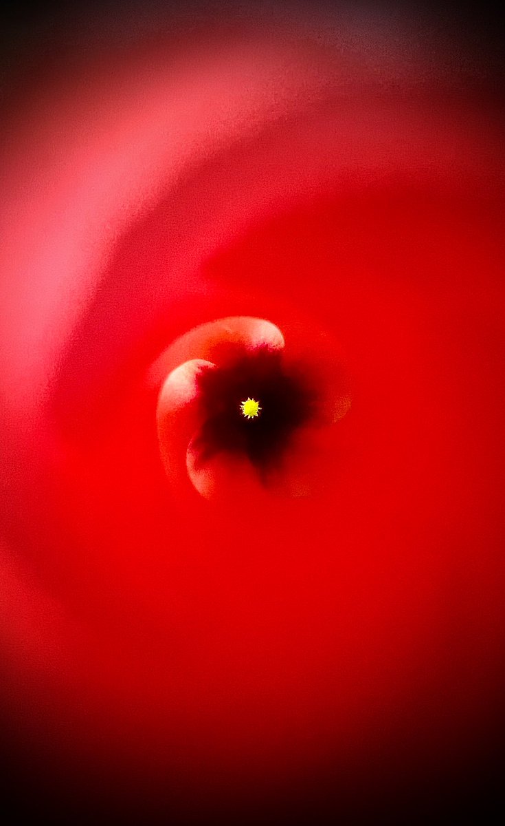 StacyMariePics's tweet photo. Photo of the day…Photo I took today of a flower opening with my iPhone 13 Pro Max #iPhone13ProMax #stacymariepics #stacymariephotography https://t.co/CbF6pE2zHL