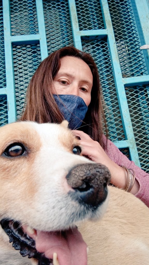 PaolaPuppione3's tweet image. Mi tóxico #kiam