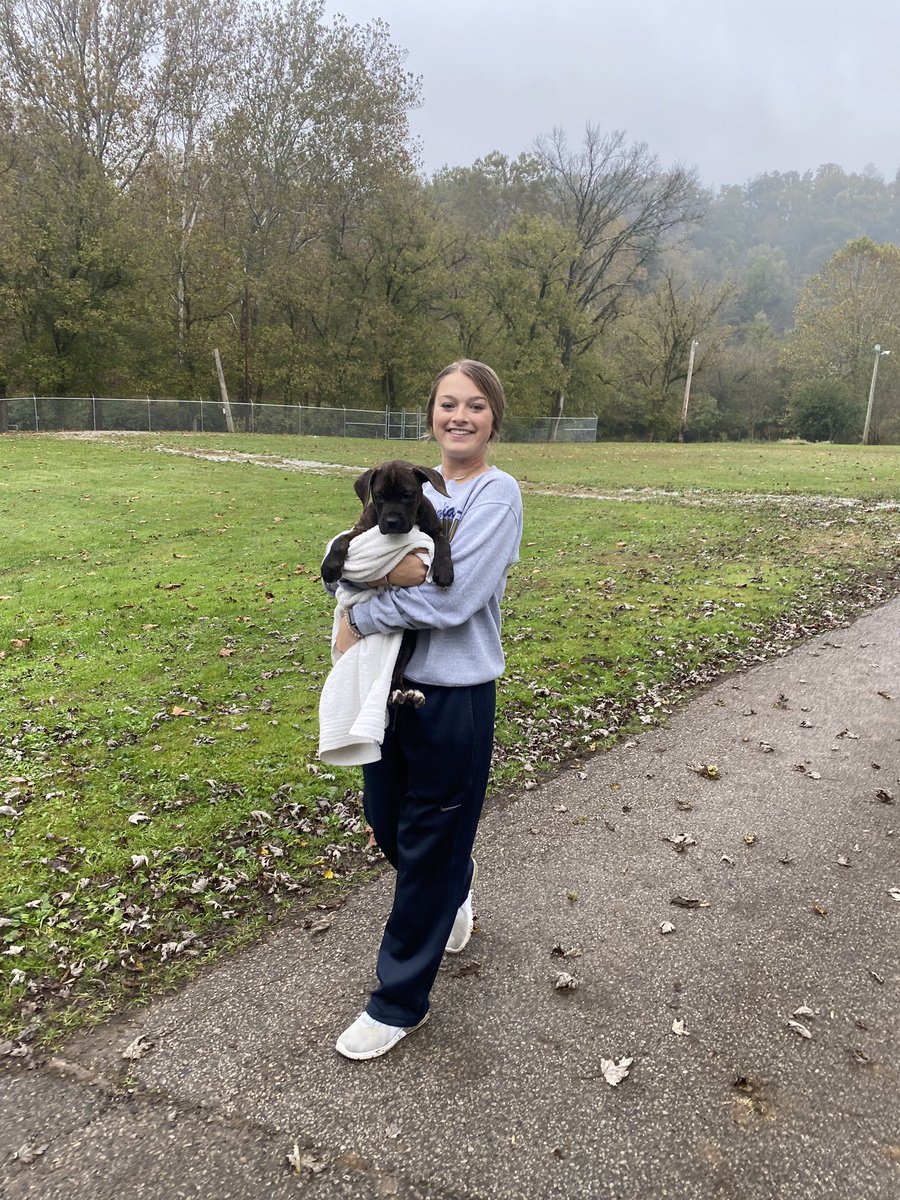 BlueEagleSB's tweet photo. Some Magnolia High School Softball girls went and volunteered at Wetzel County Animal Shelter this evening ❤️ (not pictured: Kirsten) 
If you are looking to adopt go check the local shelter. 
They have soooo many adorable dogs, puppies, cats and kittens!!!! 🐾🐶🐱 https://t.co/Xt6st9JqRG