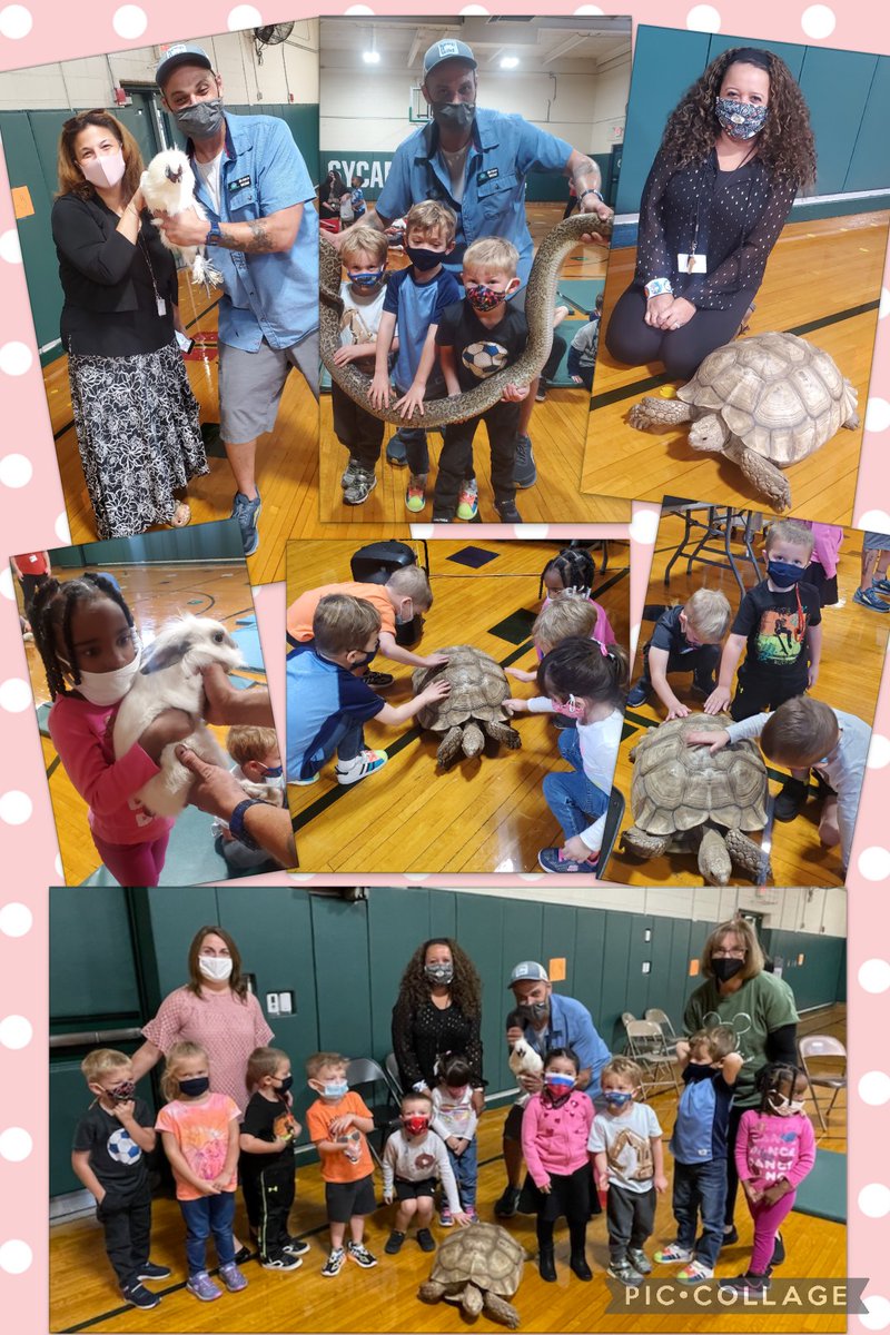 Mrs. Pericas' Preschool tweet media