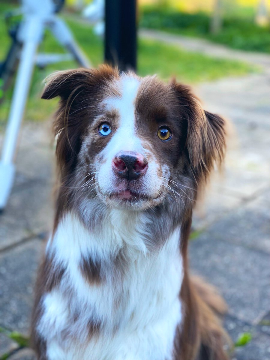 Cathrin Machin Space Art tweet media