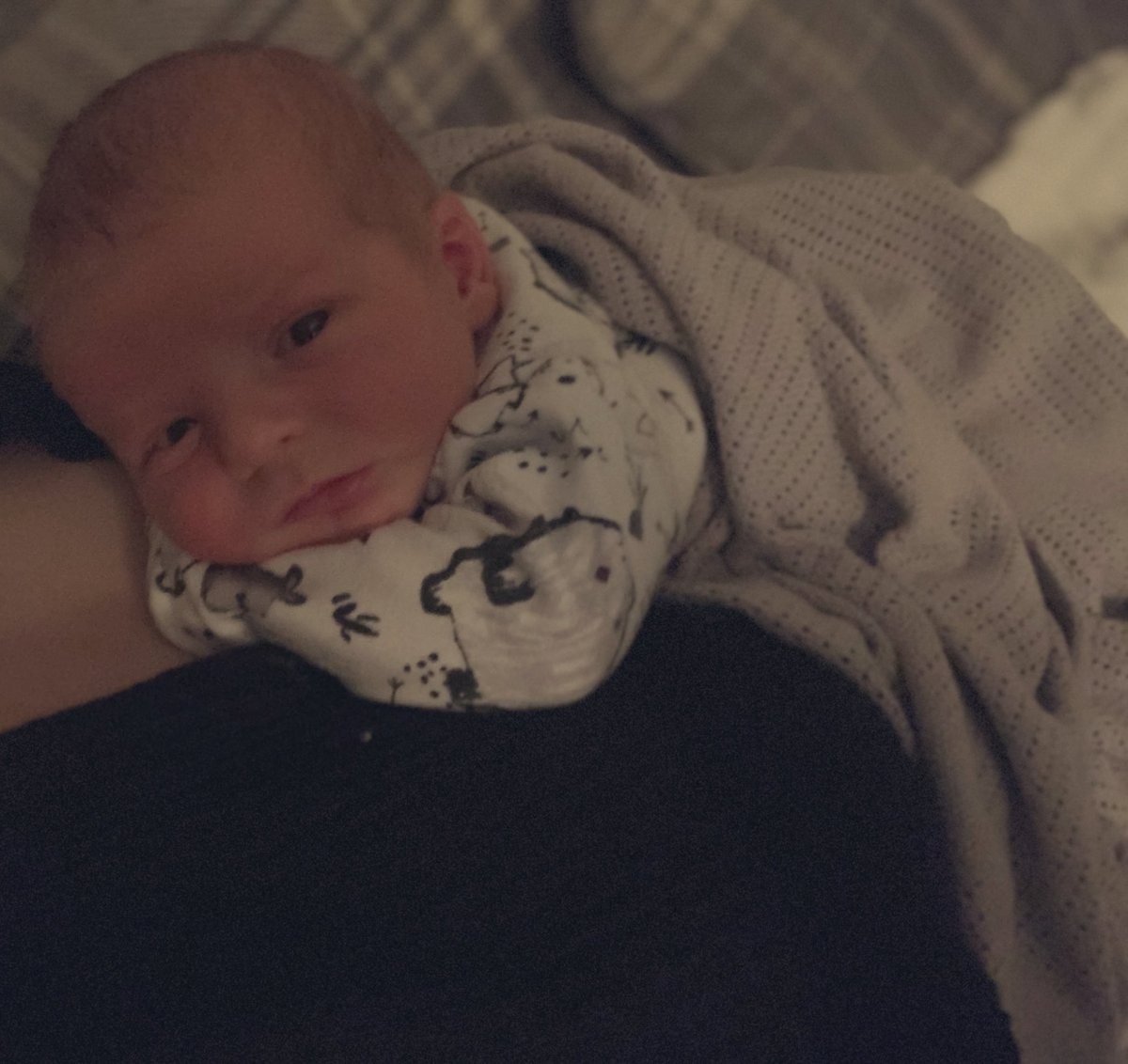 RCarr1993's tweet photo. No half term lie ins coming for us anymore... 5 days old and on the biggest learning curve, but wow are we in love with him 😍 @RyanPearson3  @maternityCPD https://t.co/reLMzDqjcF