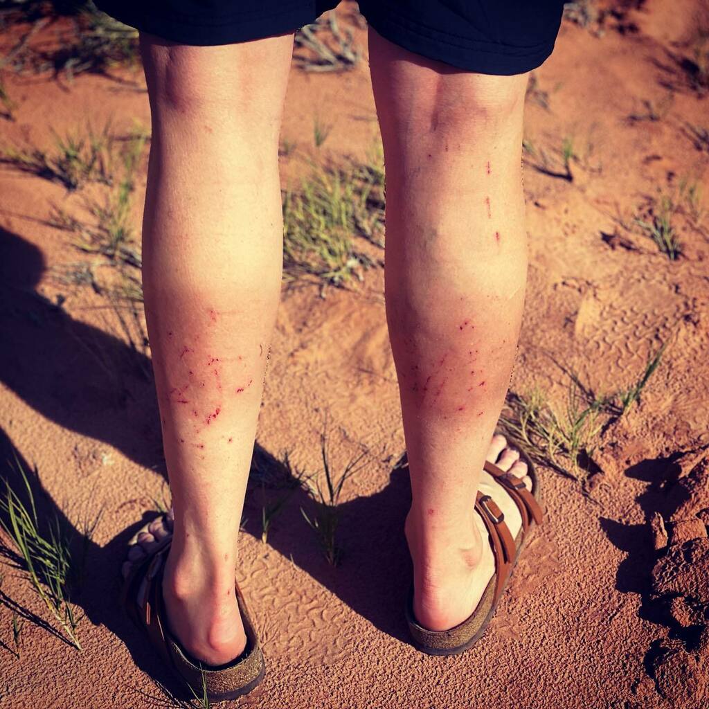 She has the enduro tan 🥰
.
.
#montanabicycleguild #nontana #moabmtb #moab #enduromtb #bikelife #mtblife #swoon instagr.am/p/CVW093lLOOS/