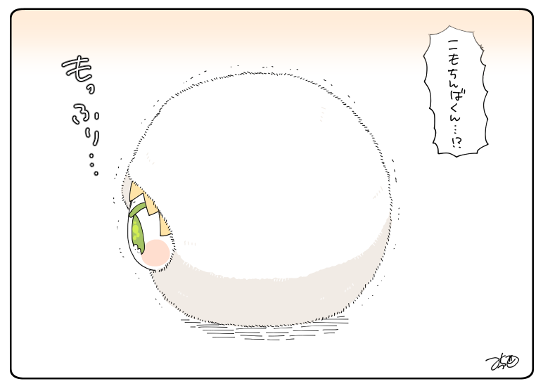 横から見た図 