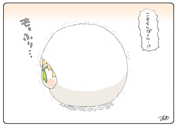 横から見た図 