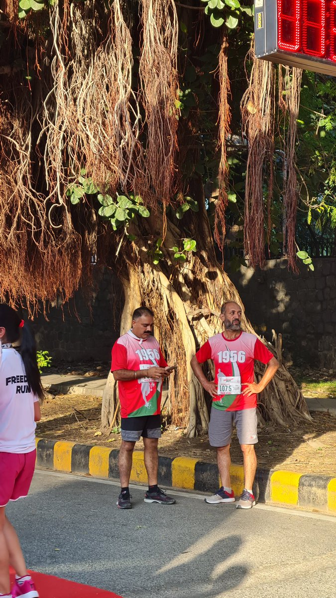 András L. Király tweet media