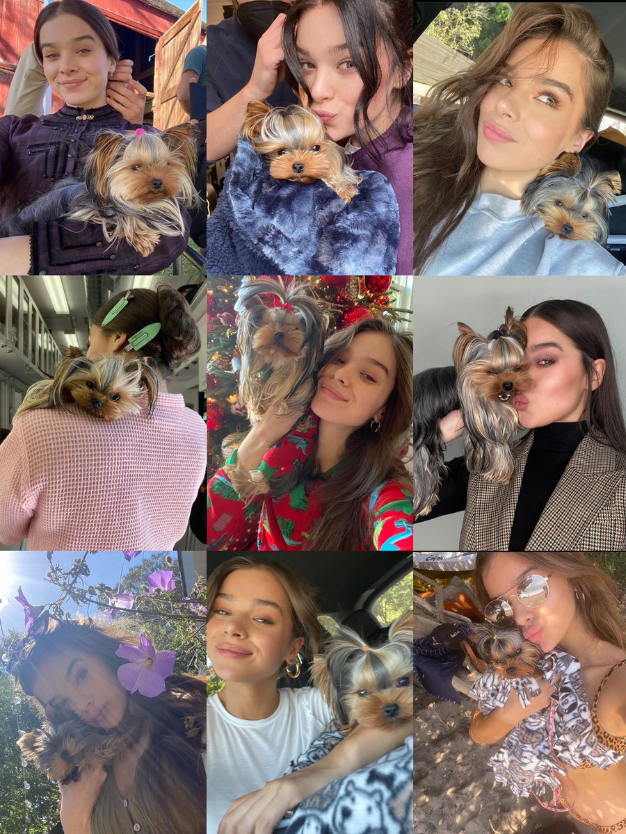 my favorite concept is the teenie with hailee