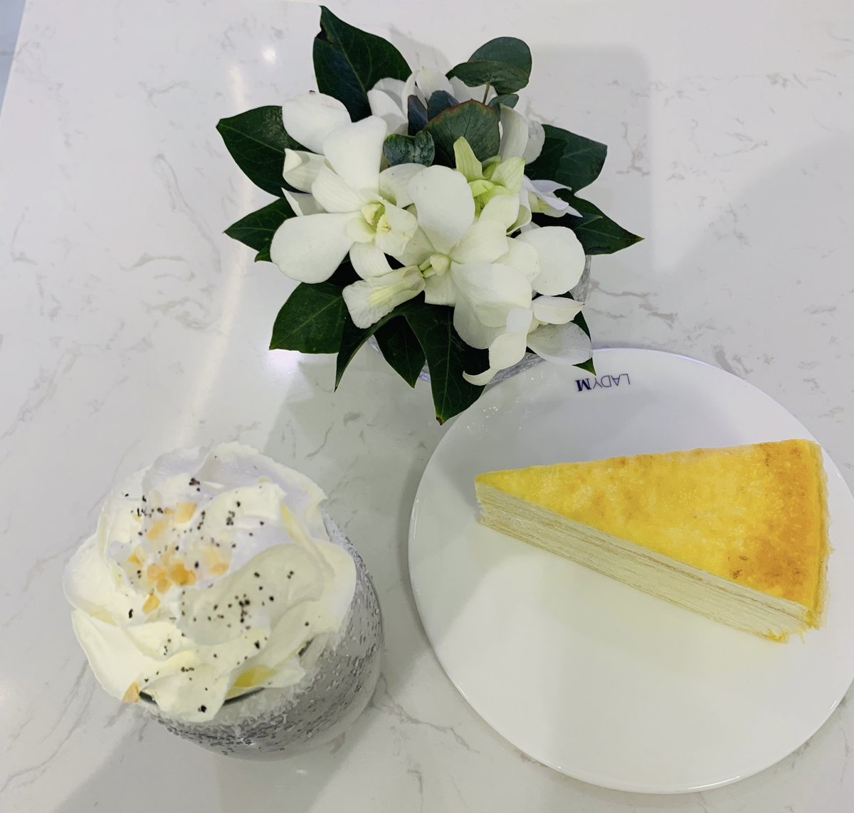 Stella (@songxin34228931) on Twitter photo 