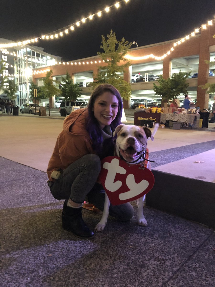 Dog Bingo with @cerritolive is starting up, and the costumes paw-some! 🐾