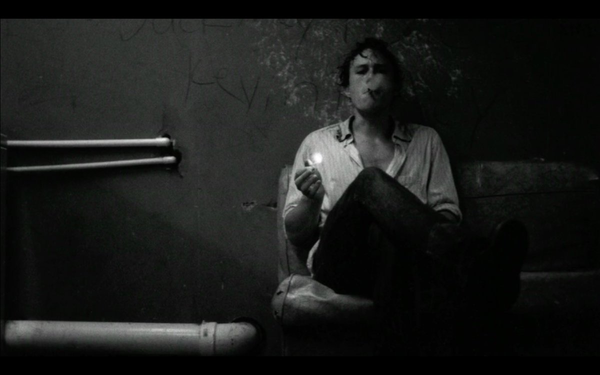 𝐗𝐄𝐍𝐎𝐏𝐇𝐈𝐋𝐈𝐔𝐒 𝐋𝐎𝐕𝐄𝐆𝐎𝐎𝐃. (@sanitatemvesani) on Twitter photo 