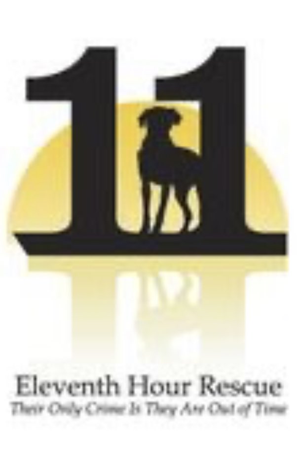 Kat Vizzone tweet media