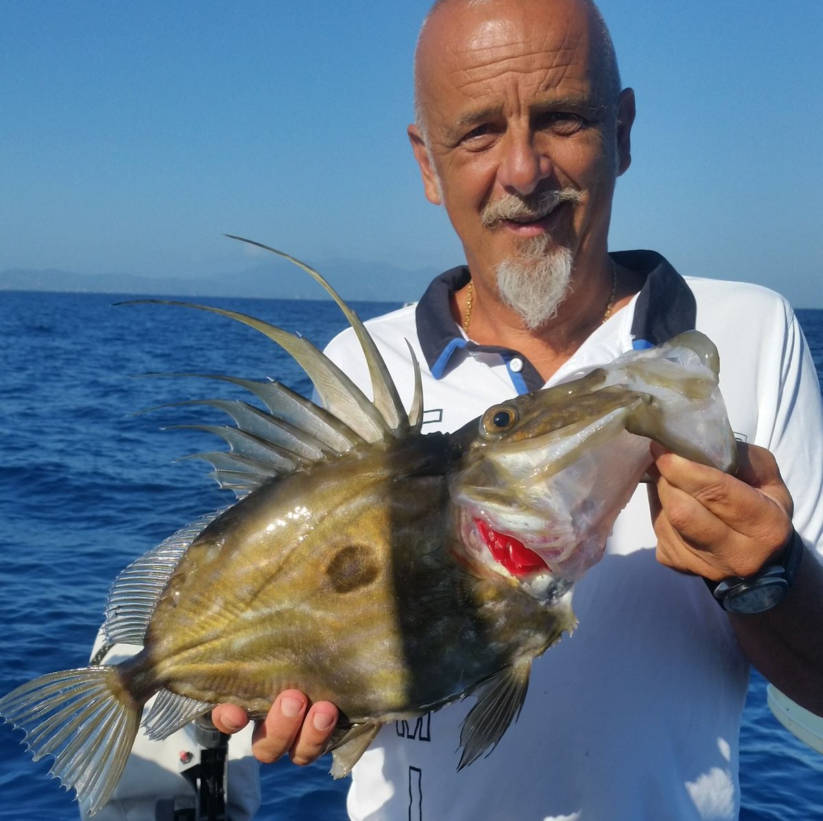 TheIGFA's tweet photo. Today we are excited to feature Captain Gian Luca Magri, an IGFA Captain since 2011. Captain Magri is an eclectic fisherman, specializing in light drifting, trolling, big game, and bottom fishing. Fishunter is based in Tuscany, Italy in Piombino opposite Isola D'Elba. #fishIGFA https://t.co/7EMeQ2vfKb