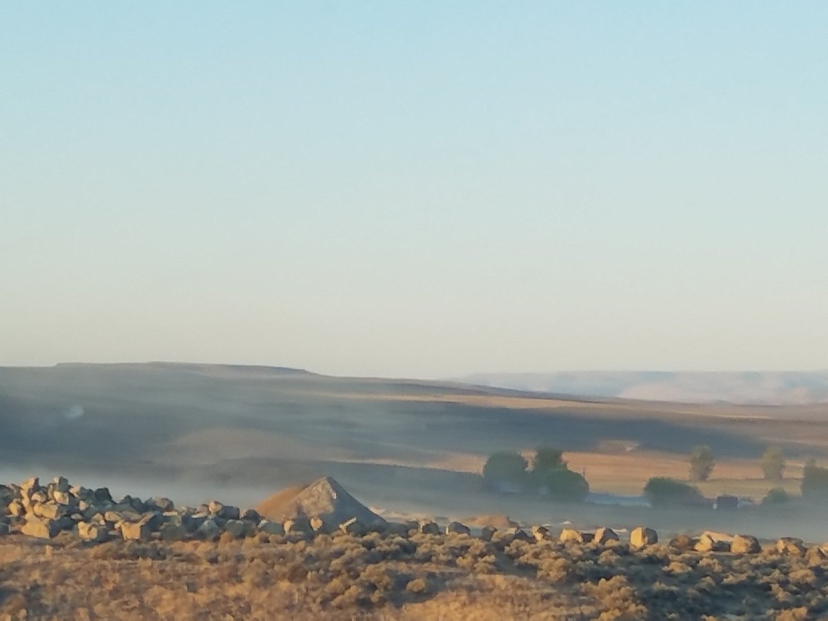 HeckelME tweet media