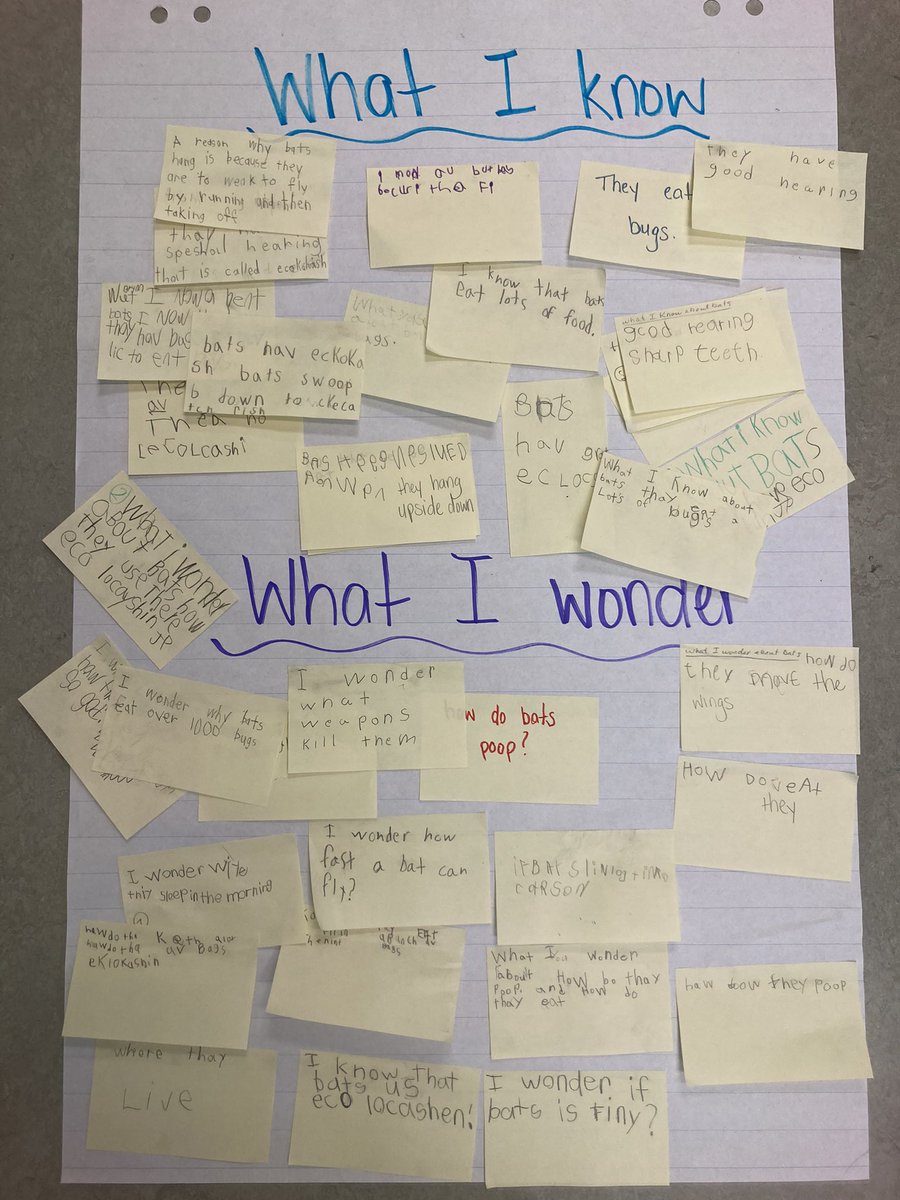 Adventures with Mrs.Allen tweet media