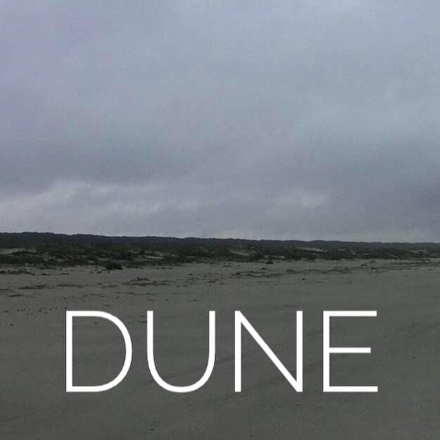 #Dune Georgia style #Georgia #cumberlandisland #GeorgiaCoast #DungenessBeach