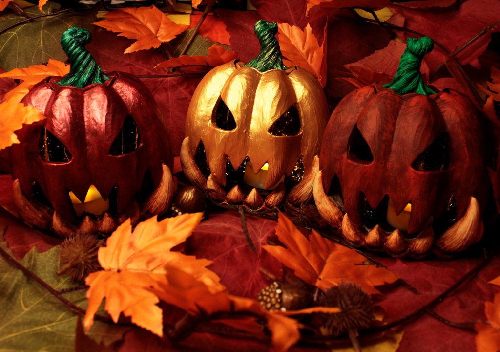 TentacleSpine's tweet photo. It's Spring here in Australia, but I have to say we love the Autumnal look of Jack O'Lanterns in Northern Hemiphere based photos... https://t.co/jSfnjuGR8r