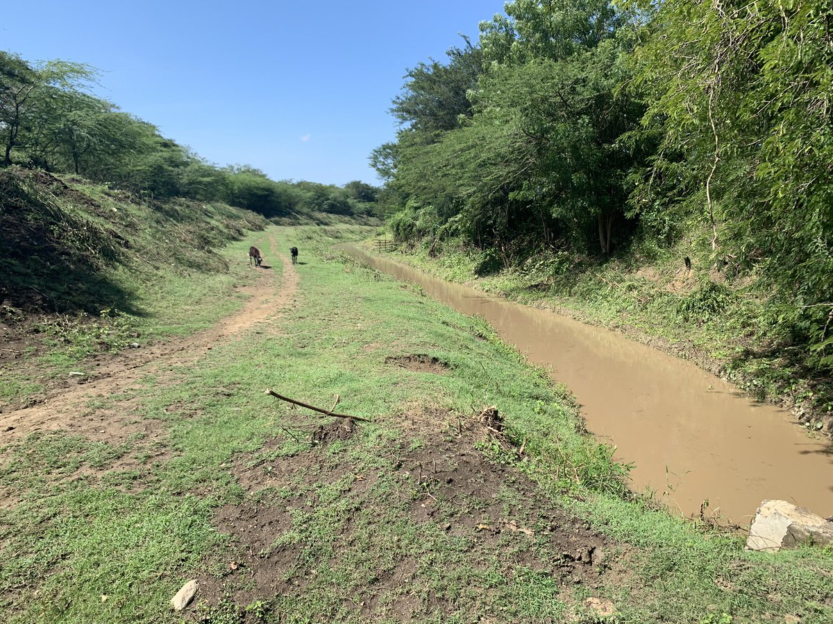 joseluissoto_'s tweet photo. Aprovecho por esta vía para darles gracias infinita a nuestro presidente @luisabinader y al Director del #INDHI @Olmedo_Caba por apoyarnos con dos brigadas temporales para la rehabilitación de nuestro canal de riego Rinconsito Macasia.23klm
#EstamosCumpliendo
@raquelarbaje https://t.co/3eacFyi5qs