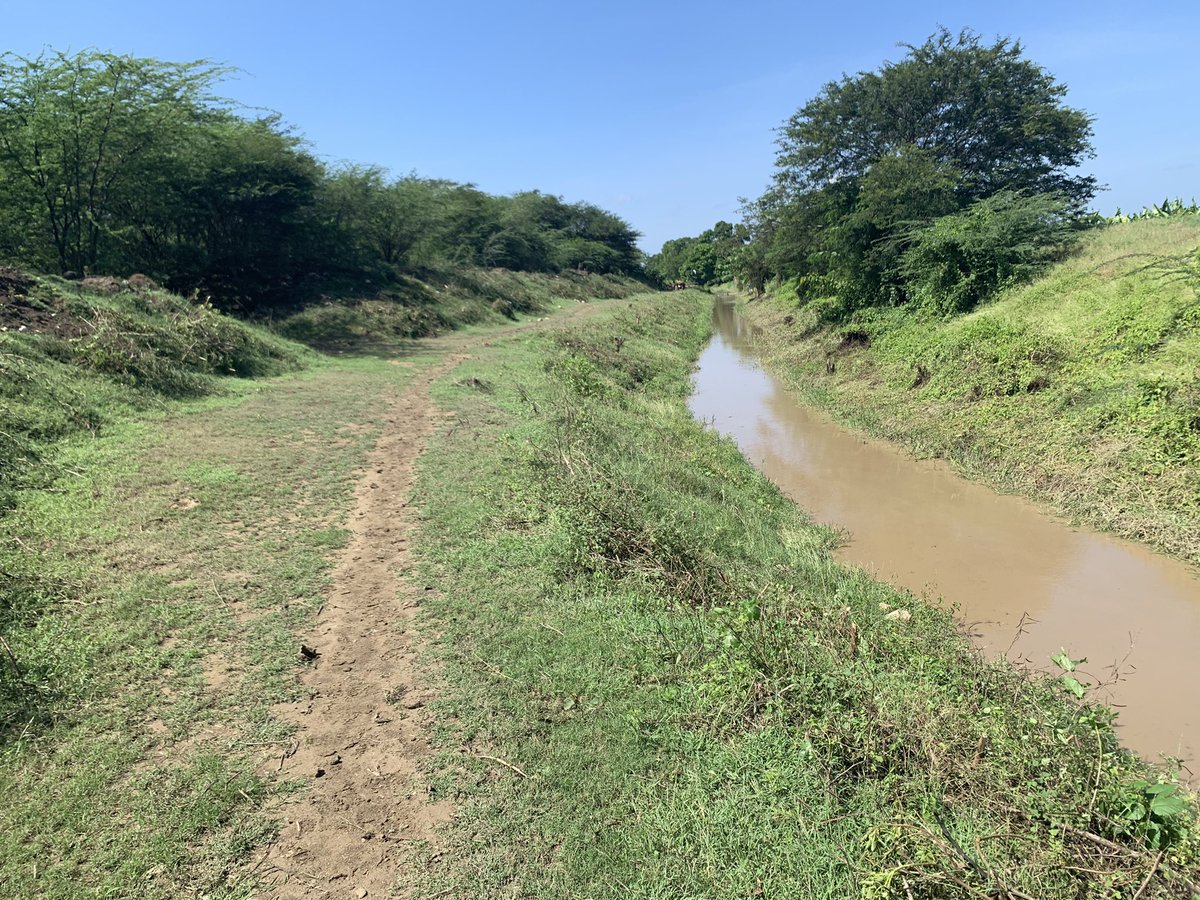 joseluissoto_'s tweet photo. Aprovecho por esta vía para darles gracias infinita a nuestro presidente @luisabinader y al Director del #INDHI @Olmedo_Caba por apoyarnos con dos brigadas temporales para la rehabilitación de nuestro canal de riego Rinconsito Macasia.23klm
#EstamosCumpliendo
@raquelarbaje https://t.co/3eacFyi5qs