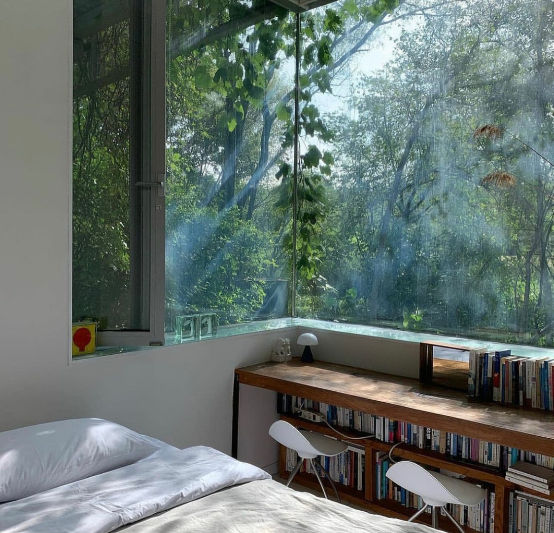 Dreaming of a forest view…