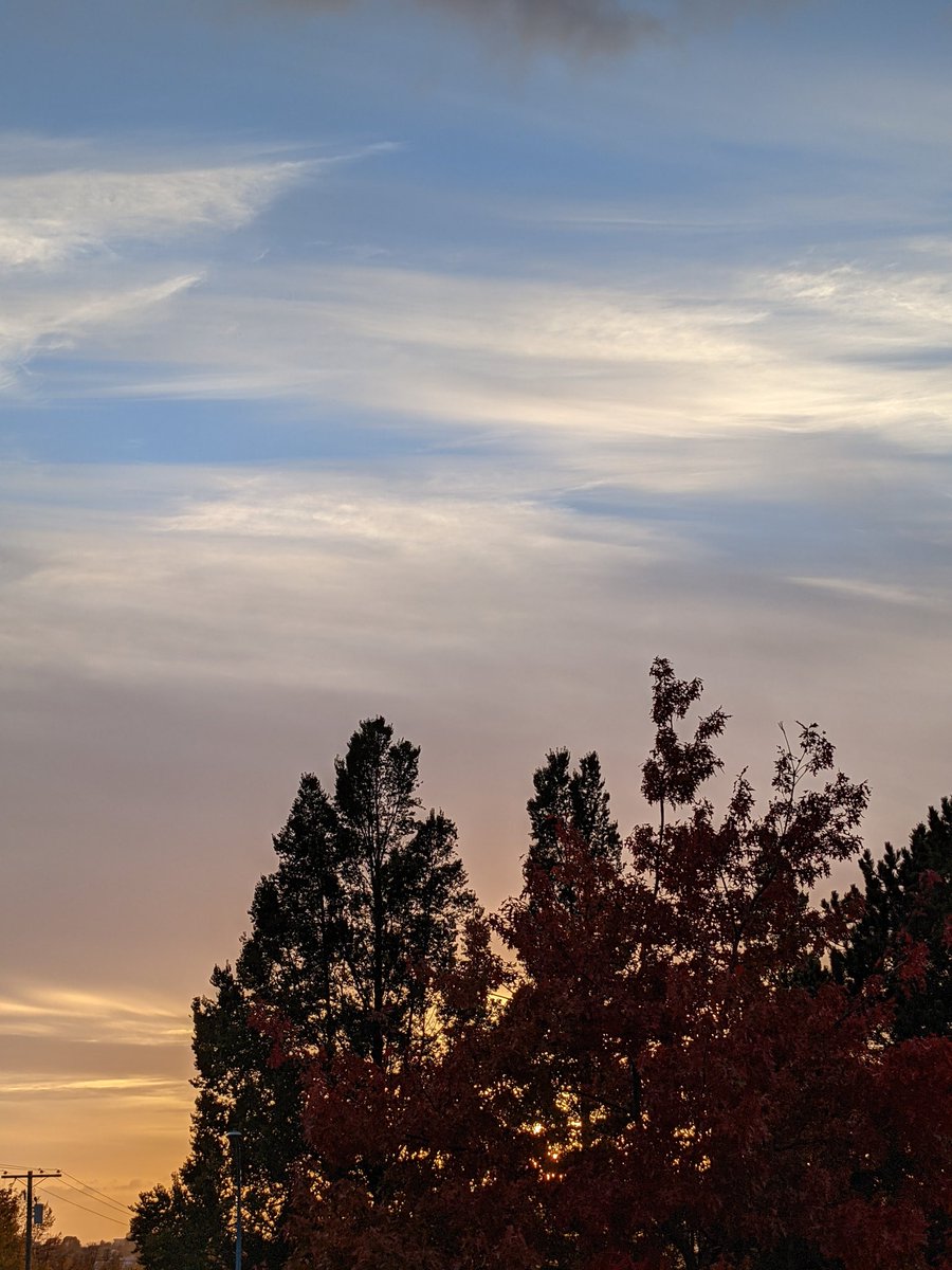 SocMedGirlyyj's tweet photo. #yyj is having a Friday #glowup; that's a beaut of a sunset behind the trees.
#BCstorm Round 2 is on its way.
#calmbetweenstorms #yyj https://t.co/6VRReCnLEU