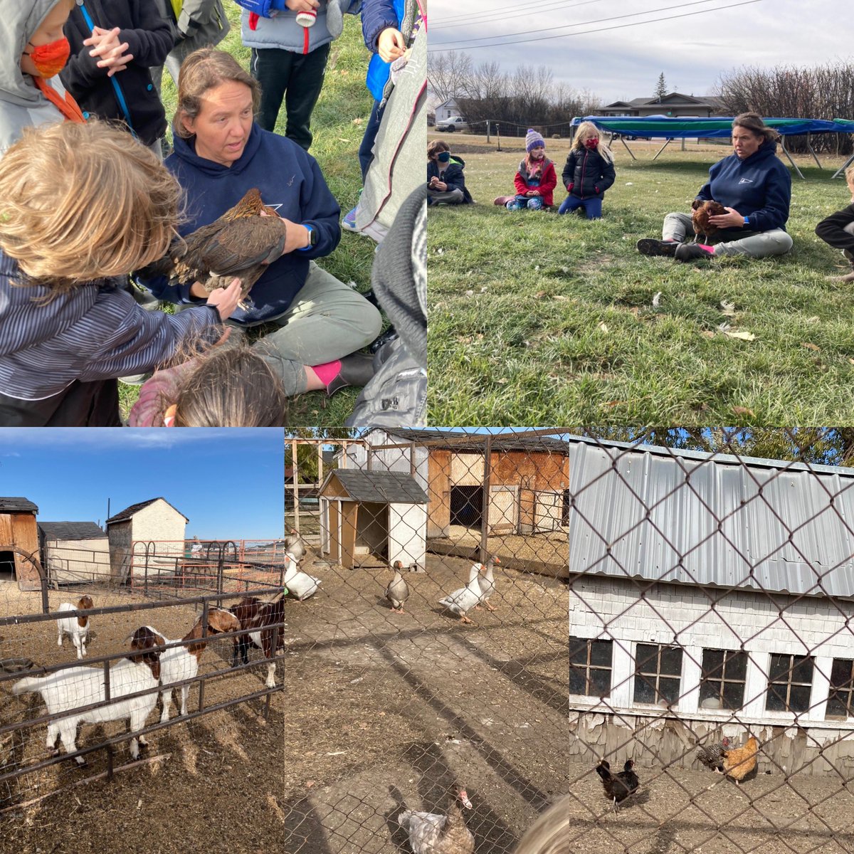 Mrs. Lepine tweet media