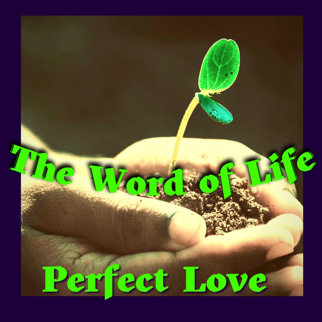 This Week:
Man is made to love others because God has ordained it to be so. If we are honest, there is a notable desire in every man to love and to be loved by someone. John explores this process of godly and sanctified love that is present in the lives of every saint.