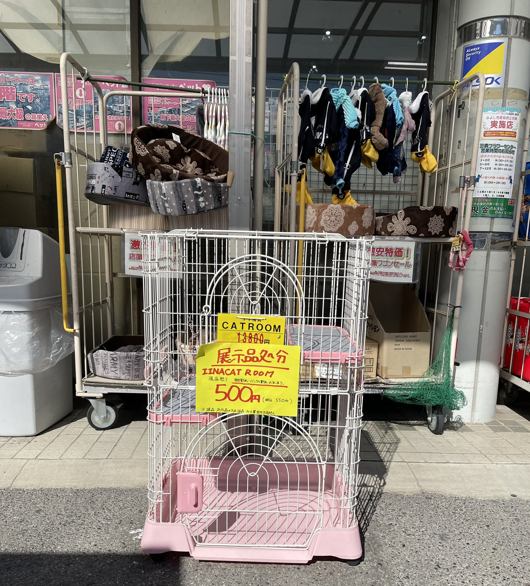 マウウ ただ今 三貴フラワーセンターさん ペット館前にて米粉のたこ焼き おねこさん販売中 三貴さんにて ねこちゃんのケージ500円 メッチャお買い得です 三貴フラワーセンター グルテンフリーキッチンカー 米粉のたこ焼き おねこ