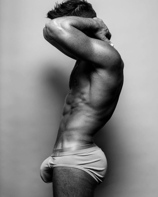 𝗠𝗶𝗹𝗼 𝗛𝗮𝗹𝗲 (@analphawolf) on Twitter photo 