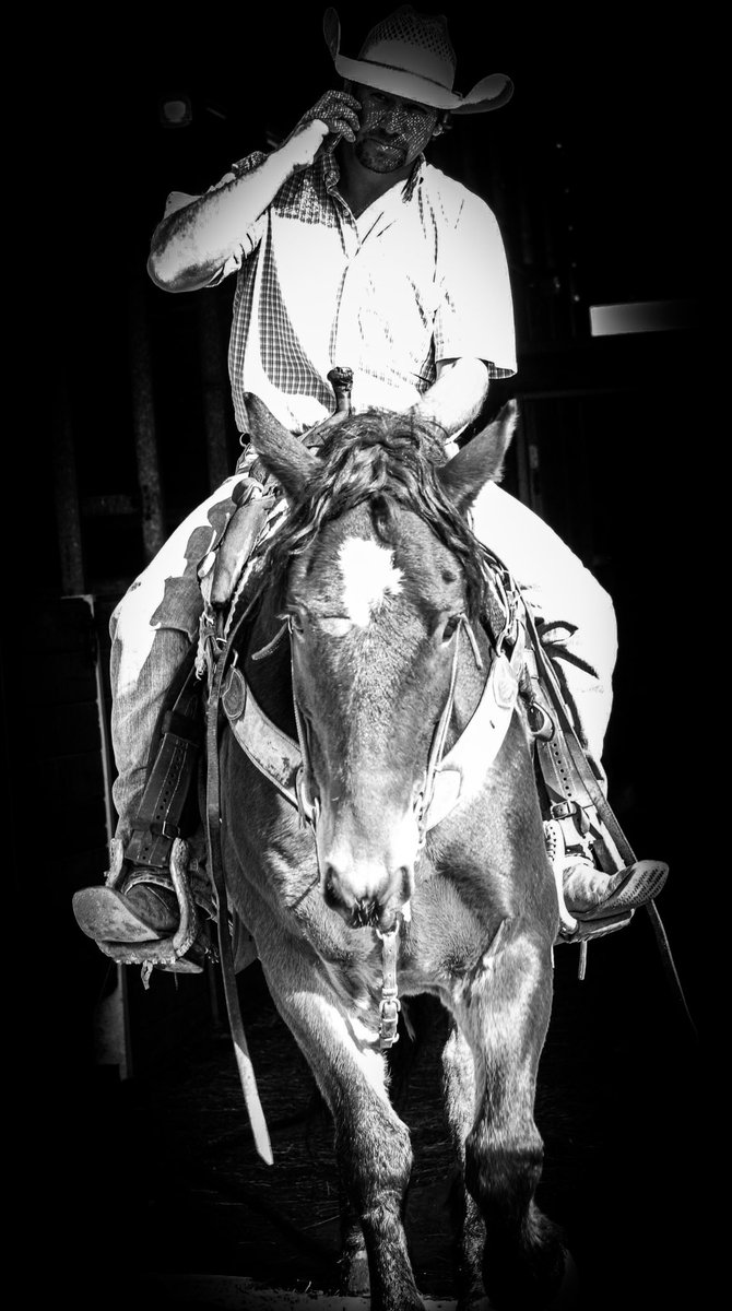 anja1443's tweet photo. Not your average all around pony ;) looking forward to Temecula with this boy https://t.co/5DFhMg0sQv
