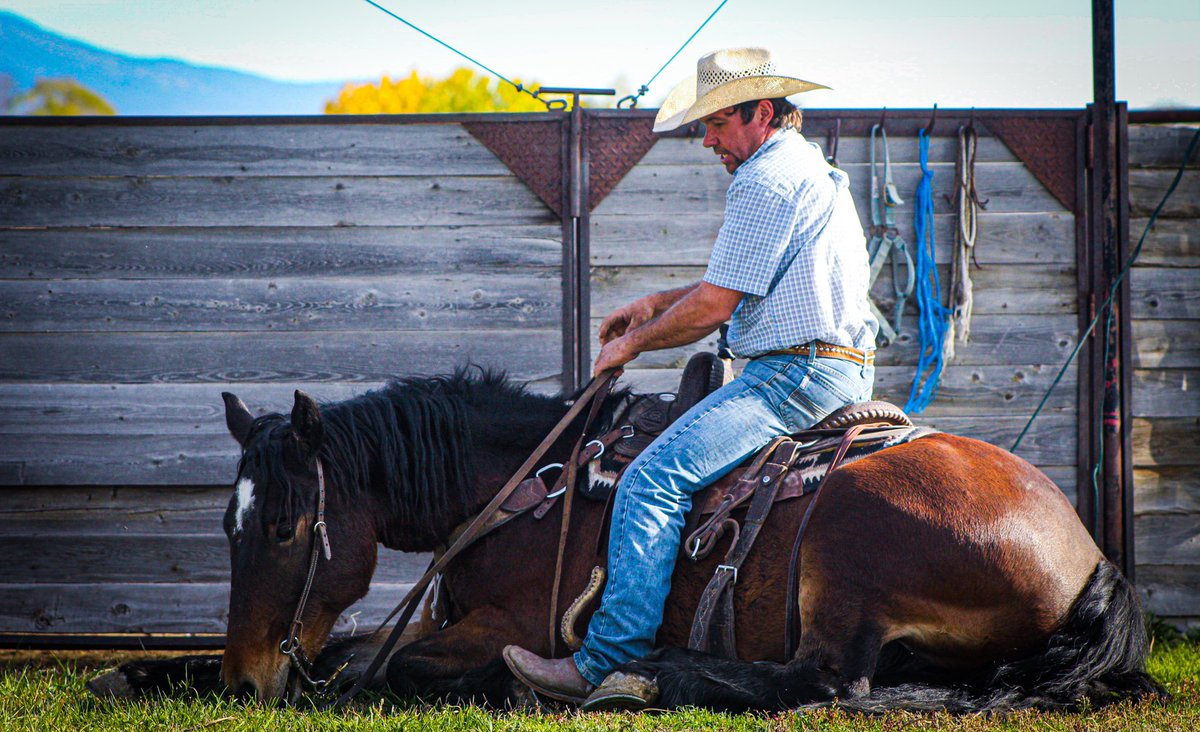 Not your average all around pony ;) looking forward to Temecula with this boy