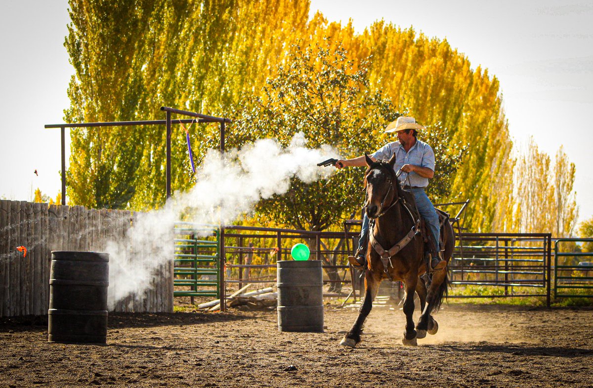 anja1443's tweet photo. Not your average all around pony ;) looking forward to Temecula with this boy https://t.co/5DFhMg0sQv