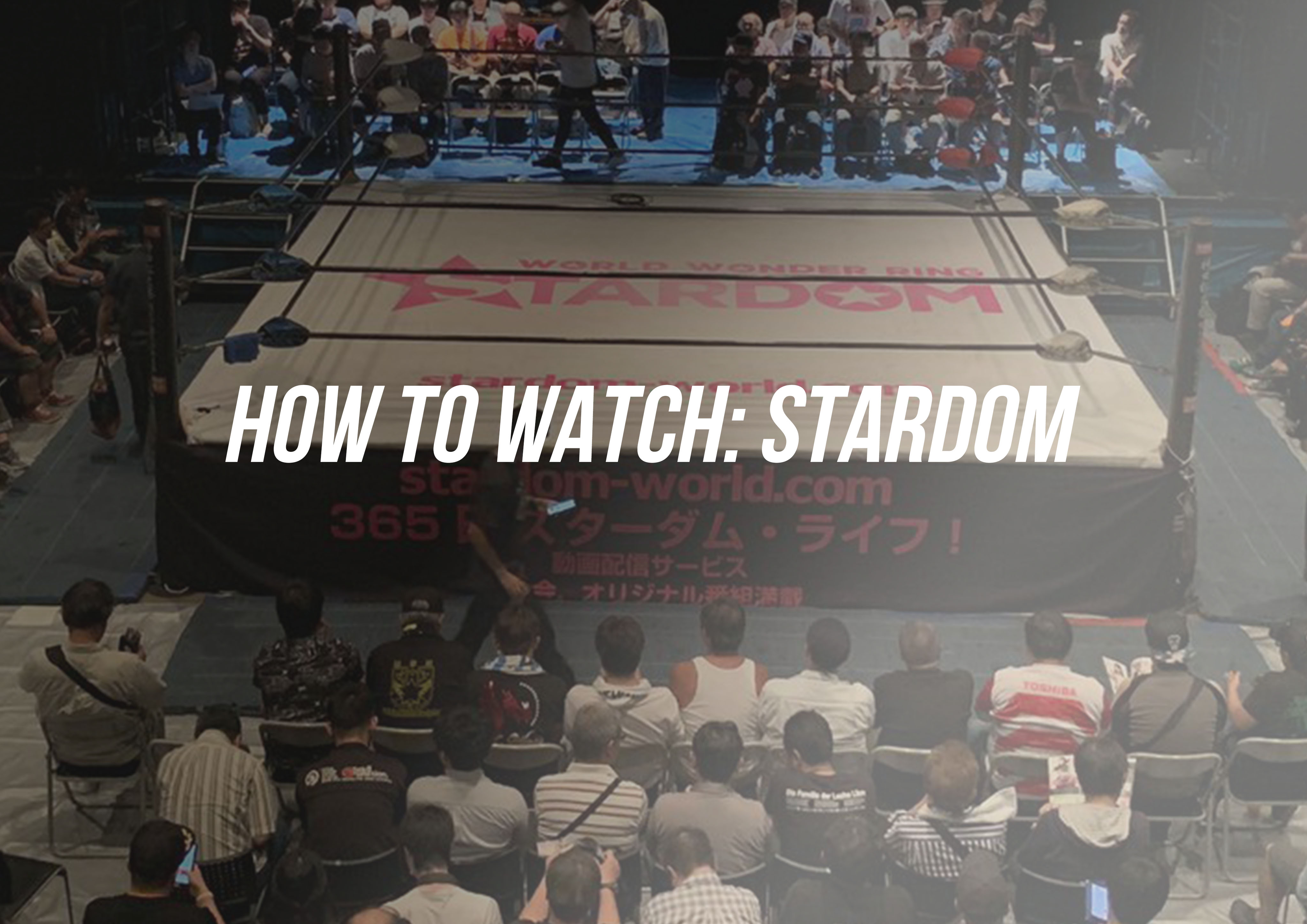 Monthly Puroresu on X