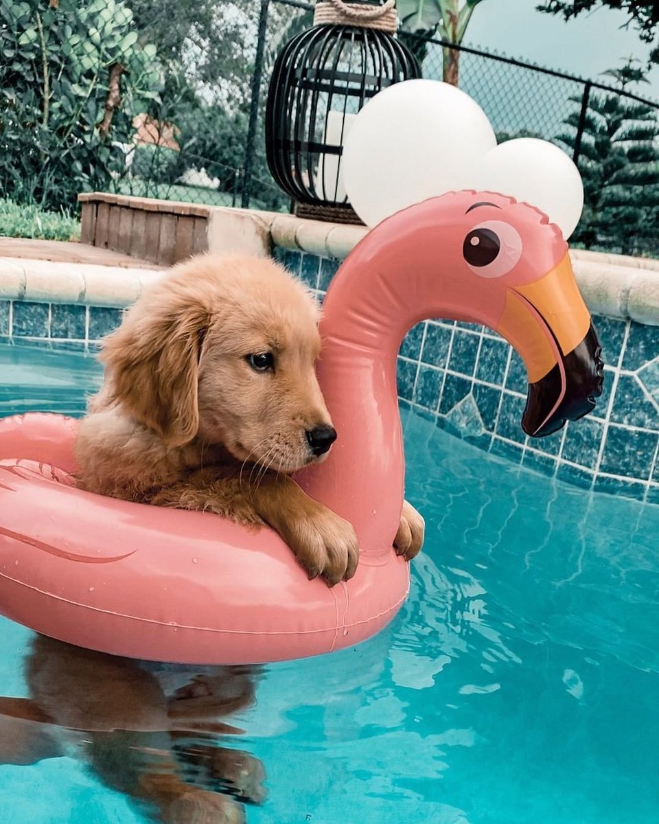 Aesthetics tweet media