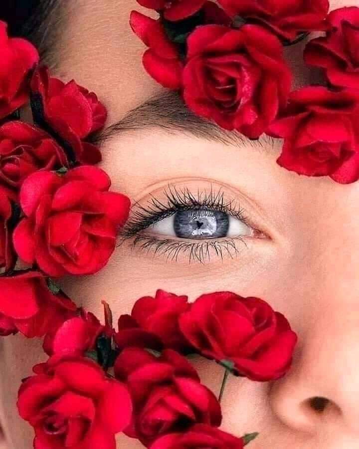 Mahmoud44960892's tweet photo. @3L0L_L صباح الورد.الجوري https://t.co/WG7Jt2m1p7