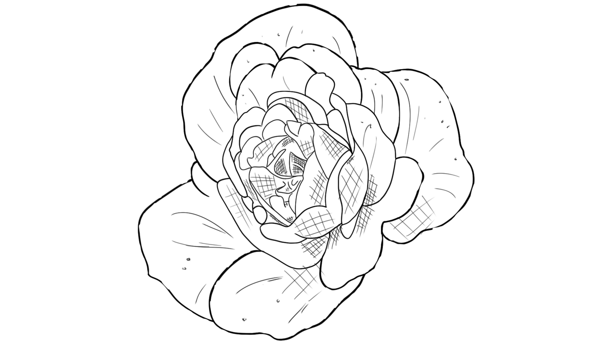 searedArt's tweet photo. Lineart practice

#digitalartistphilippines #artworkph #digitalartists #art https://t.co/gLBlSYFIV9