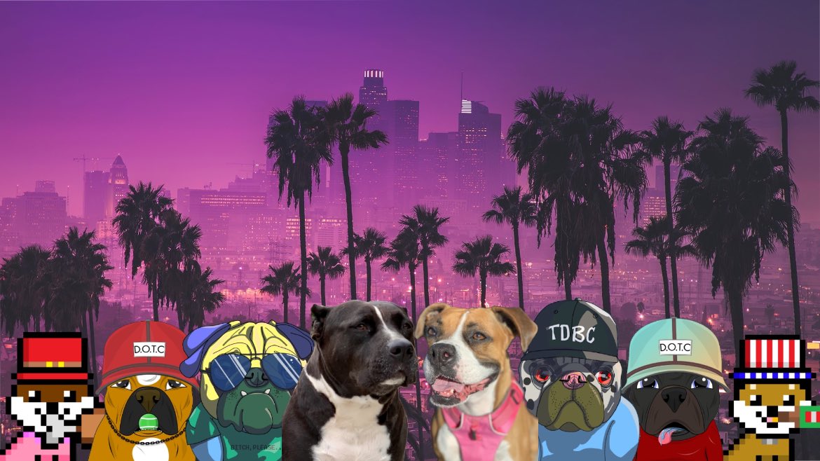 VICO 👾 tweet media