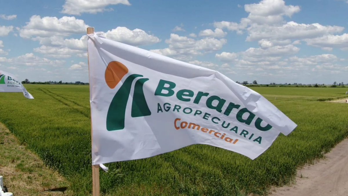 ba_comercial tweet media