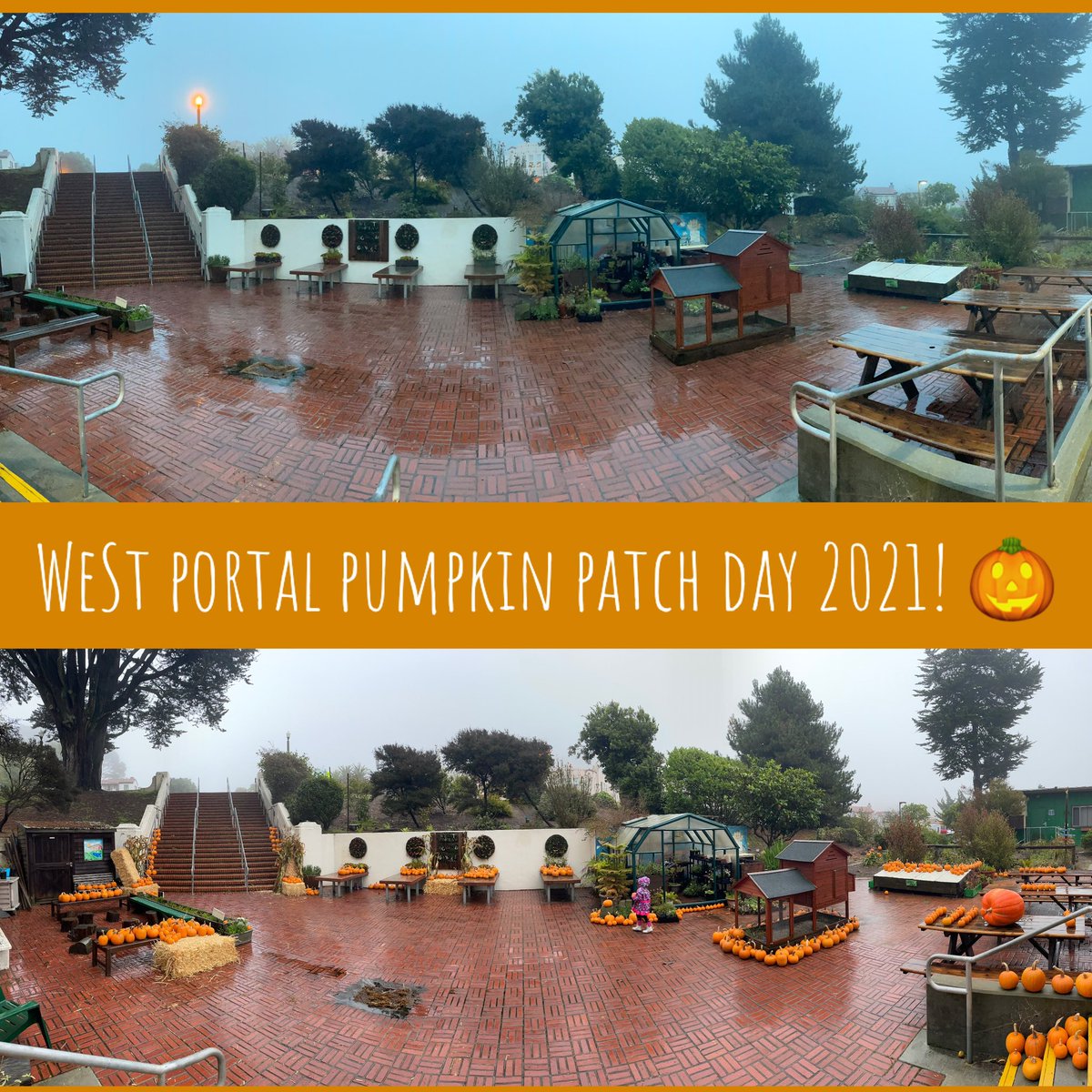 Lauren Ashton tweet media