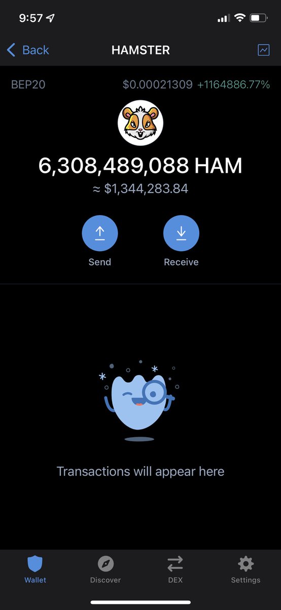 MRSTAN5092's tweet photo. @_hamster_coin did you guys had a glitch https://t.co/RIkjKNXXzt