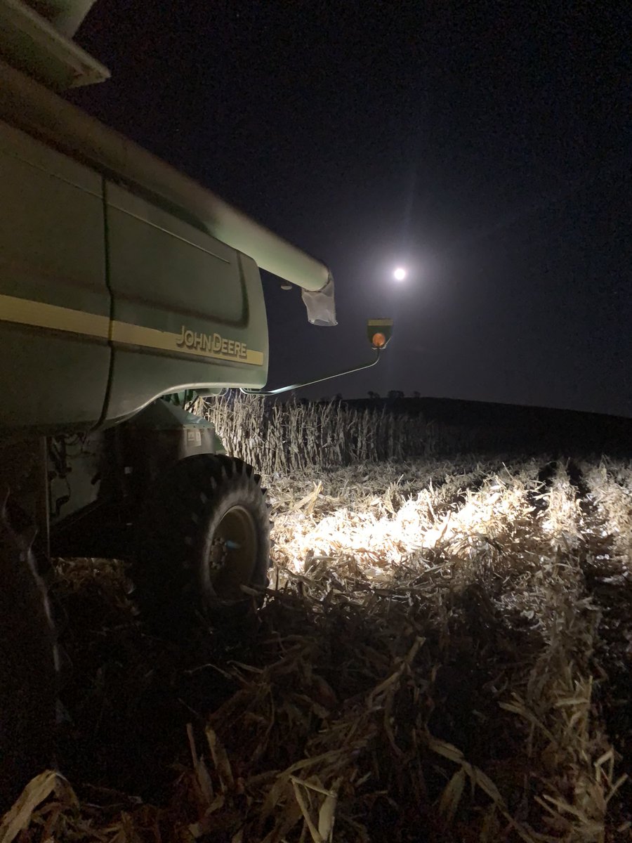 Casey C. tweet media