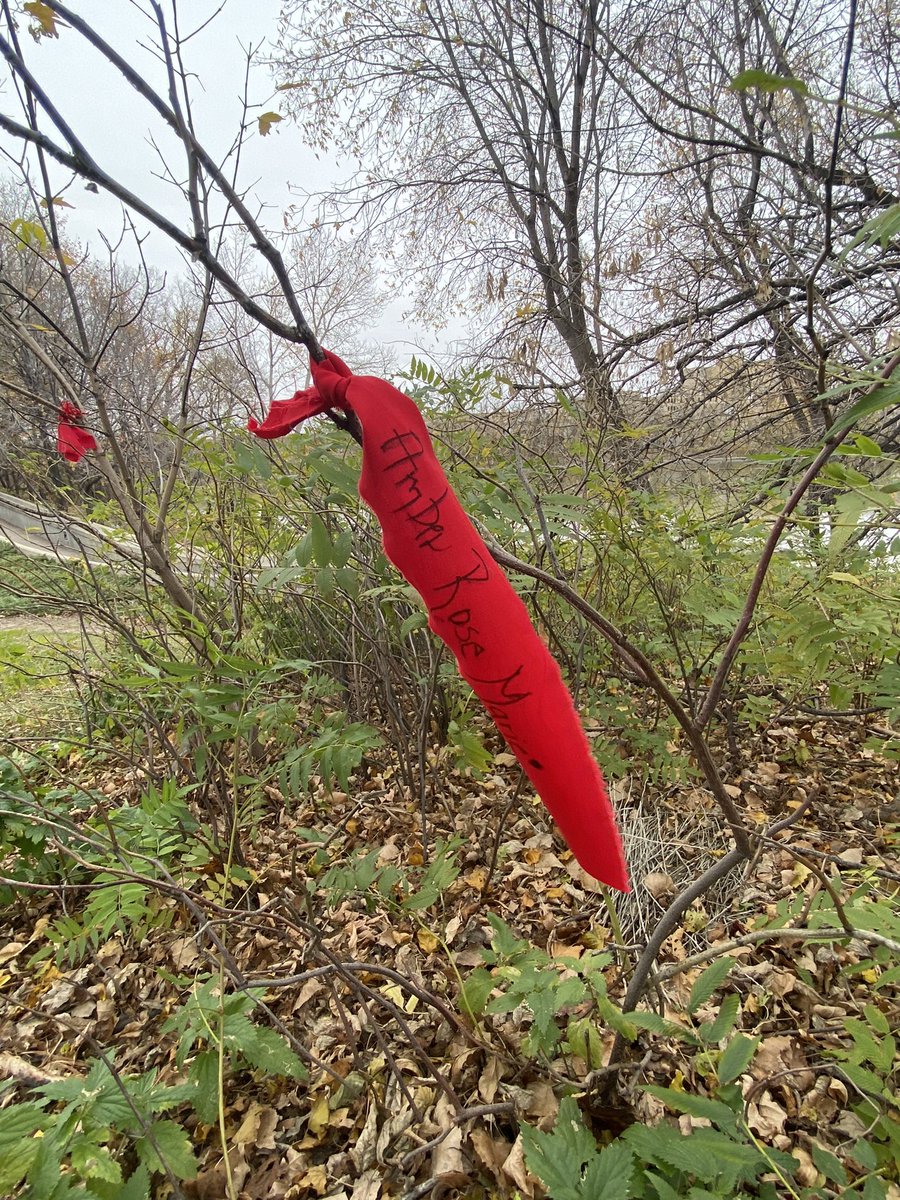 katya_ferguson's tweet photo. Thank you to everyone that walked with me and participated in my session on Walking Land Acknowledgements at the Forks today! #MTSPDday #CAYCMB❤️ Uncovering the #curriculum that lives all around us…. https://t.co/xbILK4KUff