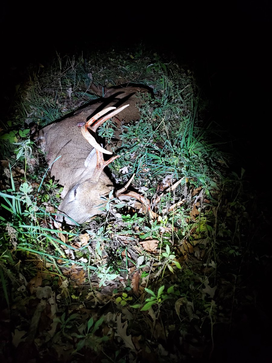 Ragnar 🇺🇸 tweet media