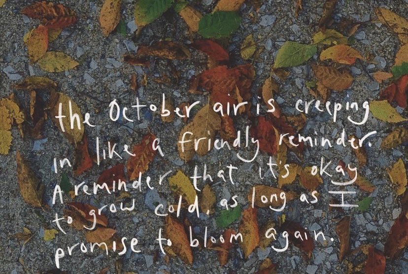 a rose by any other name (@thewavespoke) on Twitter photo 