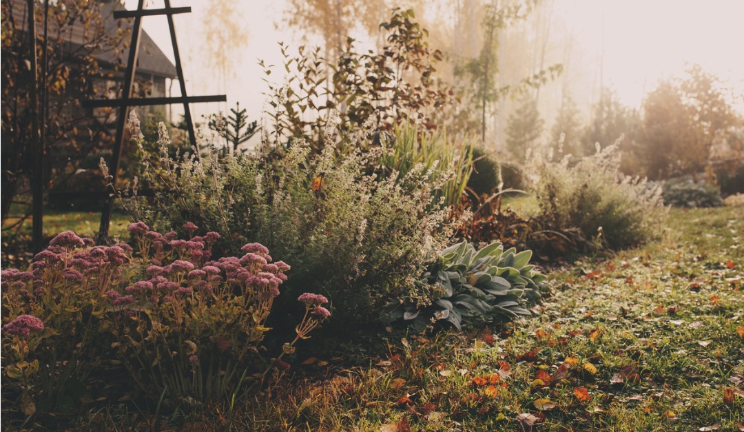 ZRichRealtor's tweet image. 5 Great Additions for Your Fall Garden ace.rismedia.com/ace2-branded/r…
