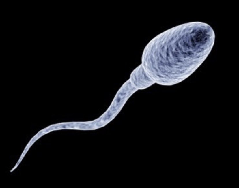 wampi_dmo's tweet photo. #tbt mi primera foto hace mucho tiempo de esto, todavía recuerdo este momento. https://t.co/aGzkq42o7r