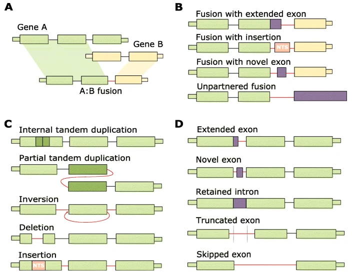 Alicia Oshlack (@aliciaoshlack) on Twitter photo Our paper is finally out in <a href="/GenomeBiology/">Genome Biology</a> 
MINTIE: identifying novel structural and splice variants in transcriptomes using RNA-seq data
Hope you all find it useful @marekcmero <a href="/nadia_davidson/">Nadia Davidson</a> <a href="/ianjmajewski/">Ian Majewski</a> 
genomebiology.biomedcentral.com/articles/10.11… Our paper is finally out in <a href="/GenomeBiology/">Genome Biology</a> 
MINTIE: identifying novel structural and splice variants in transcriptomes using RNA-seq data
Hope you all find it useful @marekcmero <a href="/nadia_davidson/">Nadia Davidson</a> <a href="/ianjmajewski/">Ian Majewski</a> 
genomebiology.biomedcentral.com/articles/10.11…